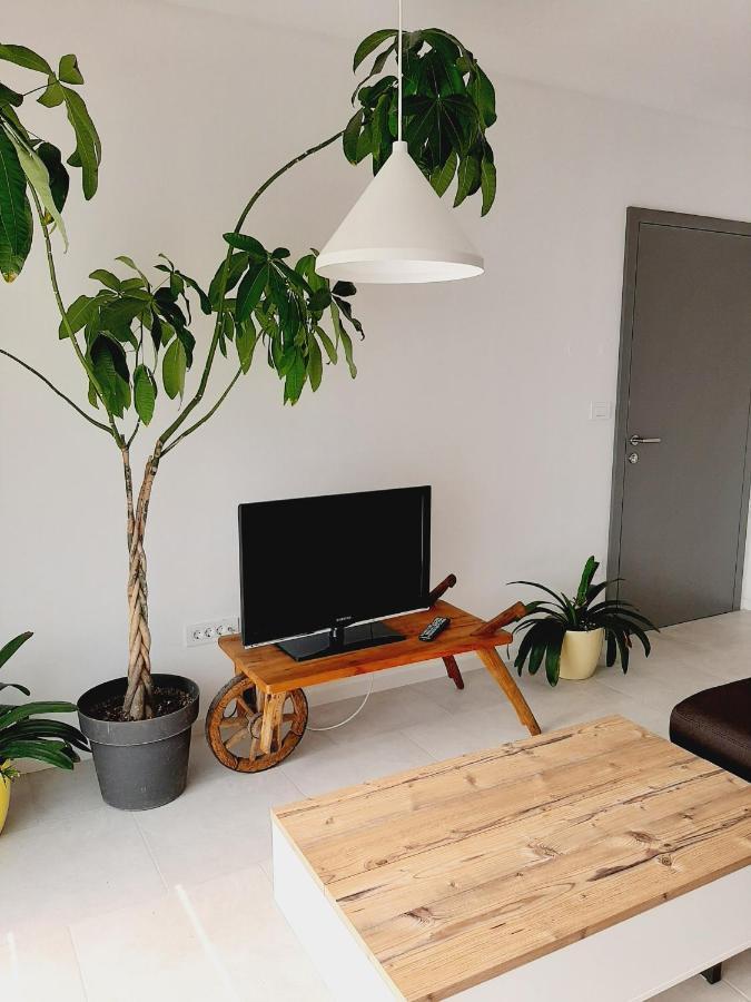 Green Bee Apartment Lesce  Ngoại thất bức ảnh